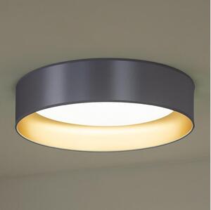 Duolla - LED Stropna svjetiljka ROLLER LED/24W/230V pr. 45 cm srebrna/zlatna