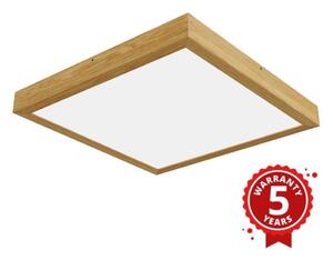 APLED - LED Panel za površinsku montažu QUADRA LED/40W/230V hrast