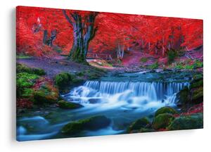 Slika slapa v rdečem gozdu (90x60 cm)