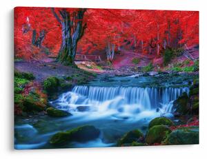 Slika slapa v rdečem gozdu (70x50 cm)