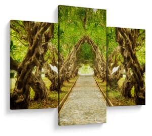 Slika - Živi tunel plumerije (90x60 cm)
