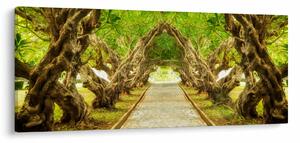 Slika - Živi tunel plumerije (120x50 cm)