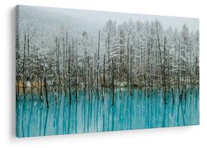 Slika - Turkizni ribnik, Biei, Japonska (90x60 cm)