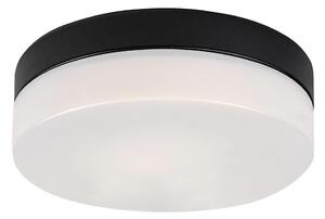 Rabalux 75025-LED Stropna svjetiljka za kupaonicu GAELO LED/15W/230V pr. 23 cm crna