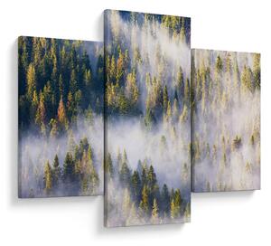 Slika dreves v megli (90x60 cm)