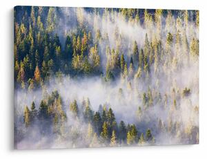 Slika dreves v megli (70x50 cm)