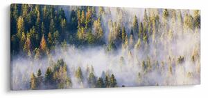 Slika dreves v megli (120x50 cm)