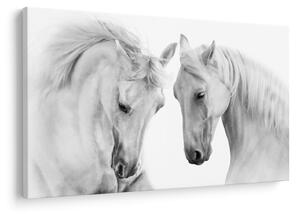 Slika belih konjev (90x60 cm)