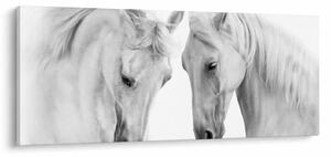 Slika belih konjev (120x50 cm)