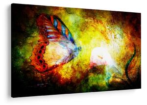 Slika - Vesoljski metulj (90x60 cm)