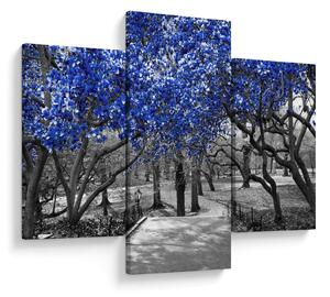 Slika - Modra drevesa, Central Park, New York (90x60 cm)