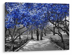 Slika - Modra drevesa, Central Park, New York (70x50 cm)