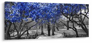 Slika - Modra drevesa, Central Park, New York (120x50 cm)