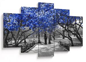 Slika - Modra drevesa, Central Park, New York (150x105 cm)
