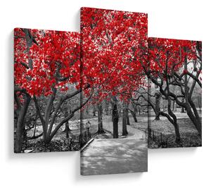 Slika - Rdeča drevesa, Central Park, New York (90x60 cm)