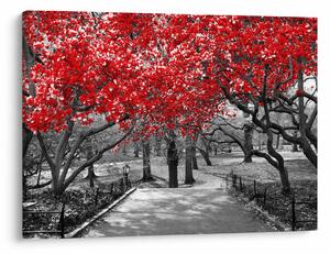 Slika - Rdeča drevesa, Central Park, New York (70x50 cm)