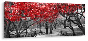 Slika - Rdeča drevesa, Central Park, New York (120x50 cm)