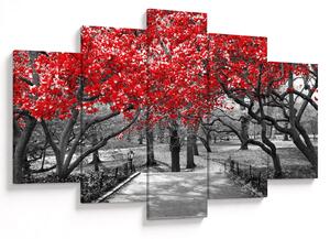Slika - Rdeča drevesa, Central Park, New York (150x105 cm)