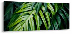 Slika - Tropski listi (120x50 cm)