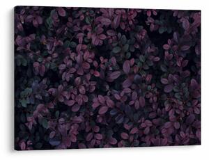 Slika temno rdečih listov (70x50 cm)