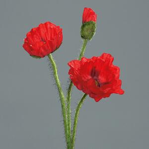 Mak 3 cvijeta 48cm crveni