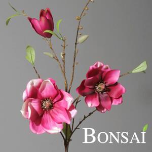Grana ružičaste magnolije 90 cm - Ružičasta