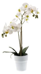 Bijela orhideja 65 cm u bijeli vazi - Bijela - 51 - 70 cm