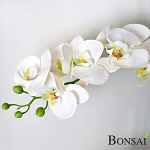 Orhideja bijela 60 cm u tegli (real tocuh) - Bijela - 51 - 70 cm