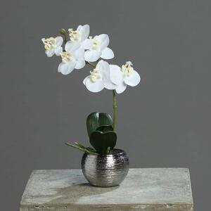 Aranžman bijele orhideje 26 cm