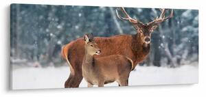 Slika jelena s srno (120x50 cm)