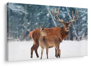 Slika jelena s srno (90x60 cm)