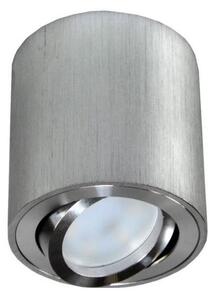 Reflektorska svjetiljka FEBE 1xGU10/30W/230V mat krom