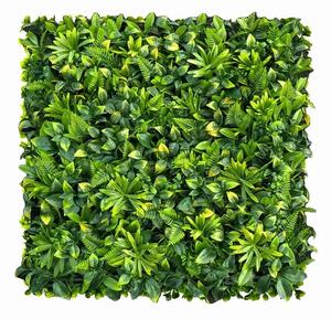 Zeleni zid Milano 50 x 50 cm