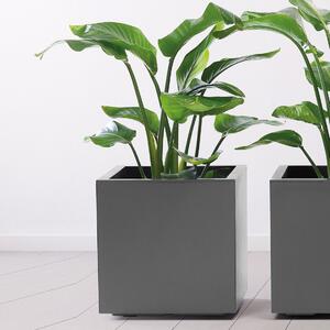 Tegla za biljke 40 x 40 cm antracit Nature - Antracit - 31 - 50 cm