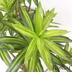 Umjetna Dracena 155 cm - 151 - 180 cm