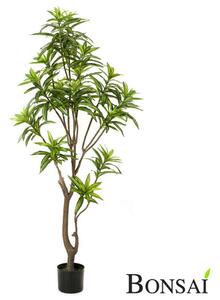 Umjetna Dracena 155 cm - 151 - 180 cm