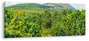 Slika - Babi Hora, Poljska (120x50 cm)