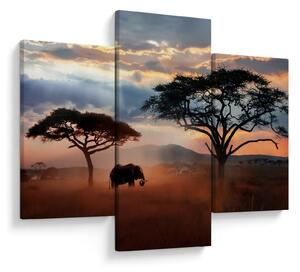 Slika - Nacionalni park Serengeti, Tanzanija, Afrika (90x60 cm)