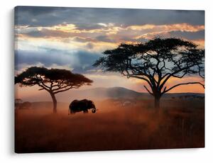 Slika - Nacionalni park Serengeti, Tanzanija, Afrika (70x50 cm)