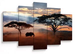 Slika - Nacionalni park Serengeti, Tanzanija, Afrika (150x105 cm)