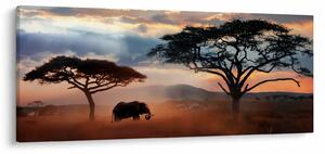 Slika - Nacionalni park Serengeti, Tanzanija, Afrika (120x50 cm)