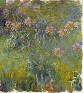 Claude Monet - Reprodukcija umjetnosti Agapanthus, 1914-26, (35 x 40 cm)