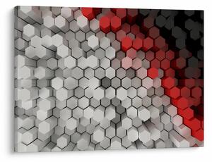 Slika - 3D šesterokotniki (70x50 cm)