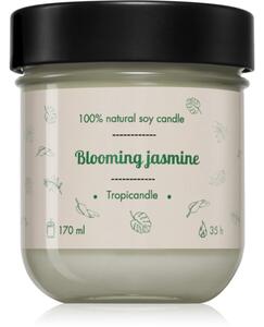 Tropicandle Blooming Jasmine mirisna svijeća 170 ml