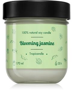 Tropicandle Green Tea mirisna svijeća 170 ml