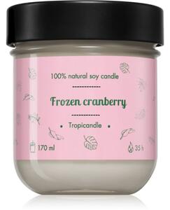 Tropicandle Frozen Cranberry mirisna svijeća 170 ml