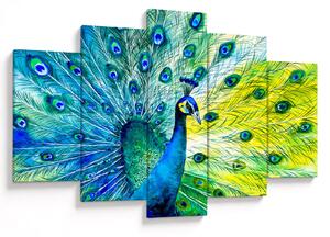 Podoba pava (150x105 cm)