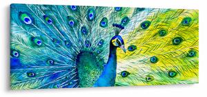 Podoba pava (120x50 cm)