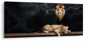 Slika - Lev in levinja v oblakih (120x50 cm)