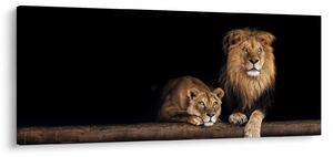 Slika - Lev in levinja (120x50 cm)